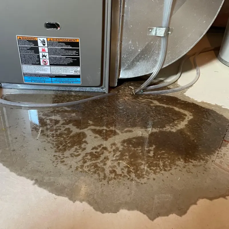 Appliance Leak Cleanup in Kapaa, HI