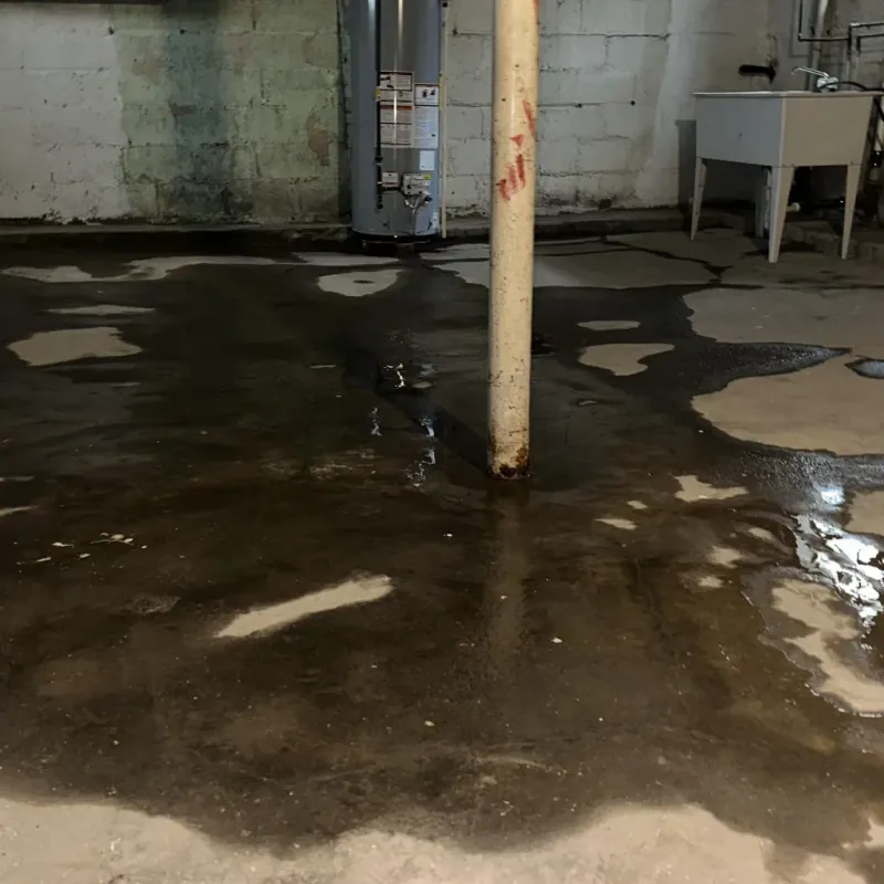 Emergency Water Extraction And Removal in Kapaa, HI